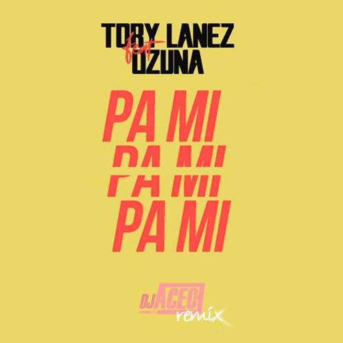 Pa´mi (Remix)
