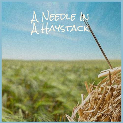 A Needle In A Haystack