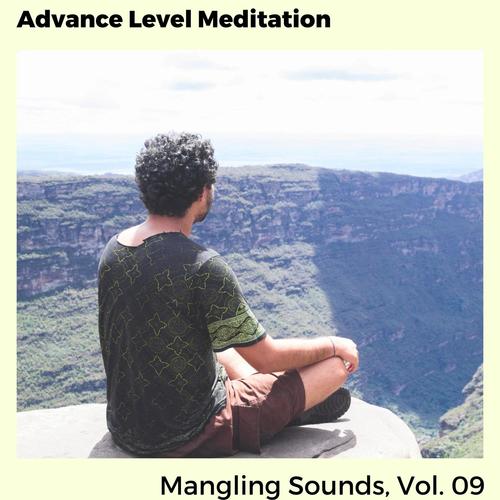 Advance Level Meditation - Mangling Sounds, Vol. 09