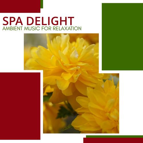 Spa Delight - Ambient Music For Relaxation