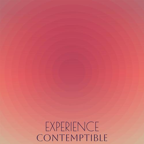 Experience Contemptible