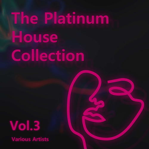 Various Artists - The Platinum House Collection Vol.3