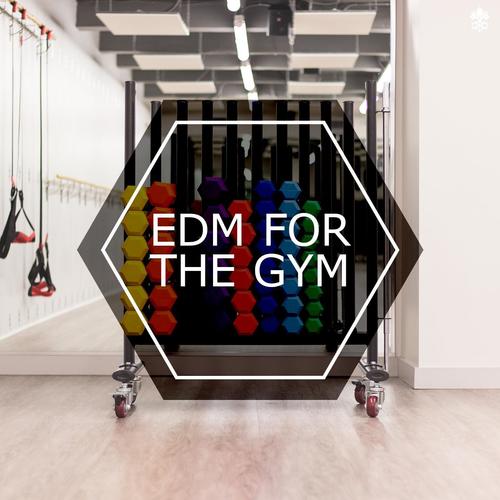 EDM For The Gym