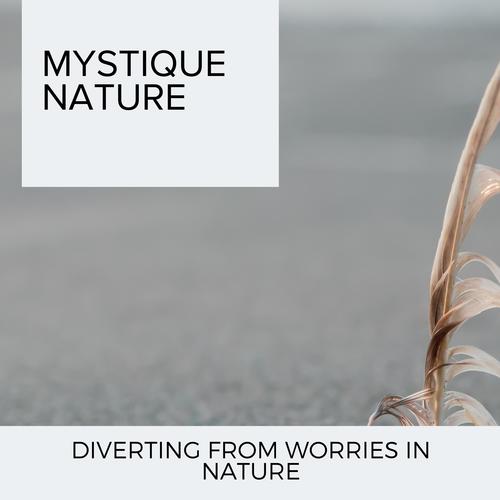 Mystique Nature - Diverting From Worries in Nature