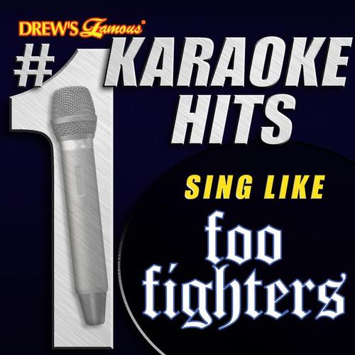 Drew's Famous # 1 Karaoke Hits: Sing like The Foo Fighters