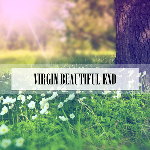 VIRGIN BEAUTIFUL END