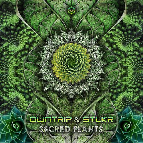 Sacred Plants