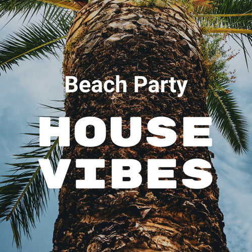 Beach Party: House Vibes (Explicit)