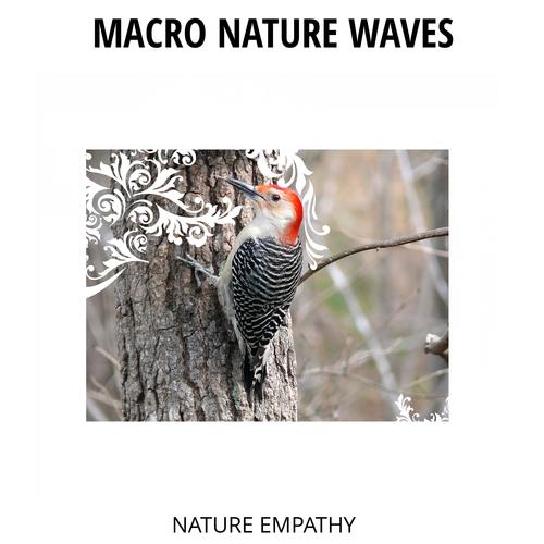 Macro Nature Waves - Nature Empathy