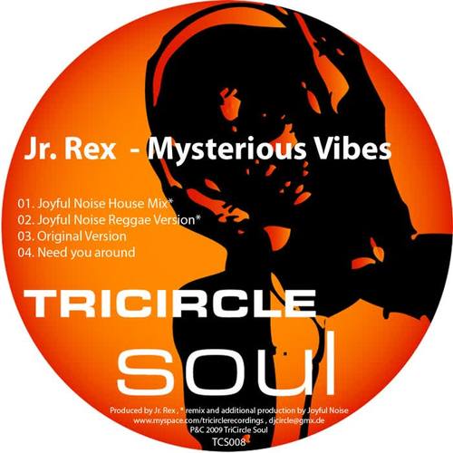 Mysterious Vibes Original Mix Jr Rex 单曲在线试听 酷我音乐