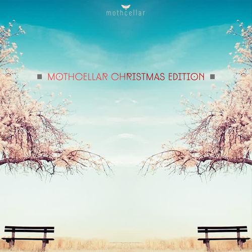 Mothcellar Christmas Edition