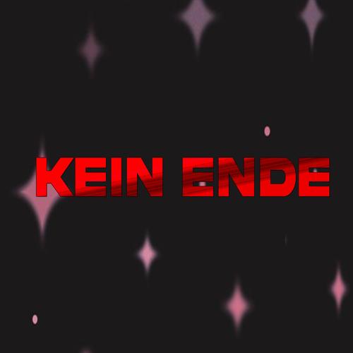 KEIN ENDE (feat. WEEZYLOU) [Explicit]