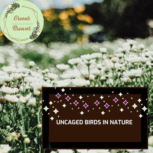 Uncaged Birds in Nature