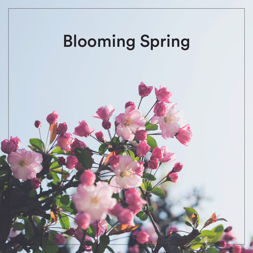 Blooming Spring (Explicit)