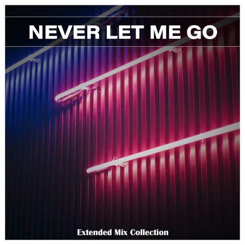 Never Let Me Go Extended Mix Collection