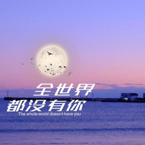 全世界没有你
