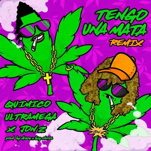 Tengo Una Mata (Remix)