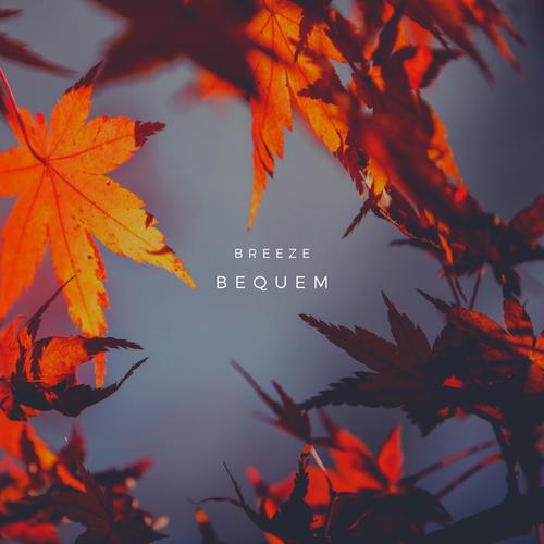 Breeze