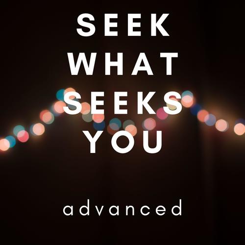 Seek What Seeks You