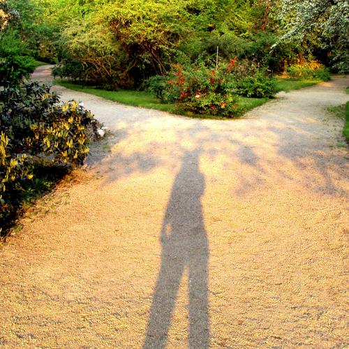 kross paths