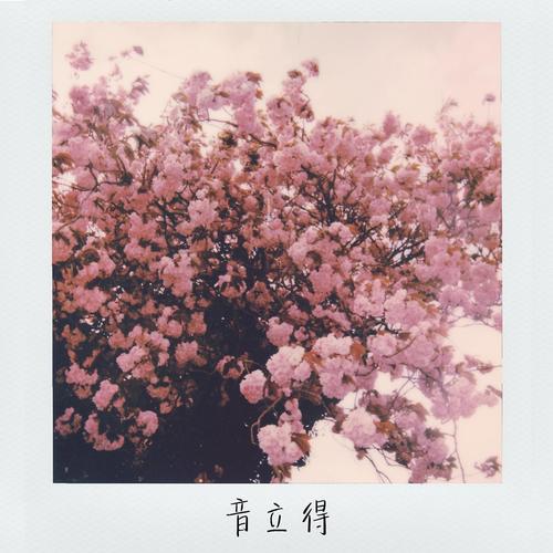 音立得