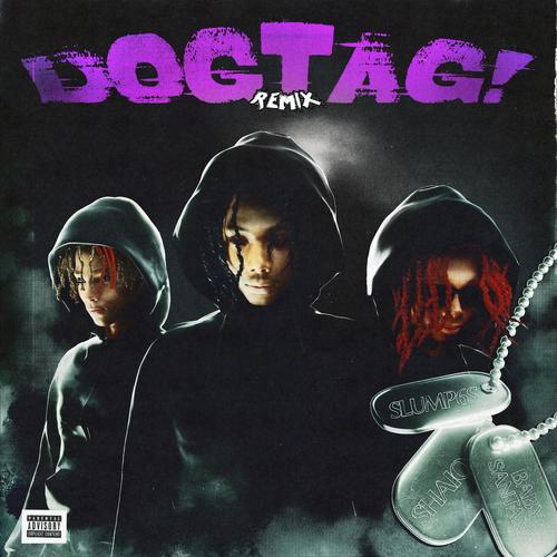 dogtag! (feat. BabySantana & Slump6s) [Remix] [Explicit]