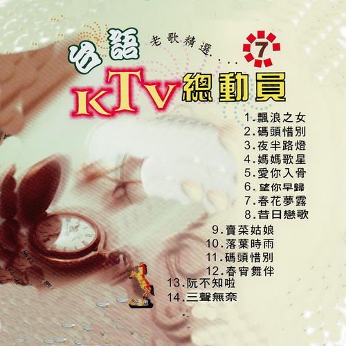 台语老歌 老歌精选 07 (KTV总动员)