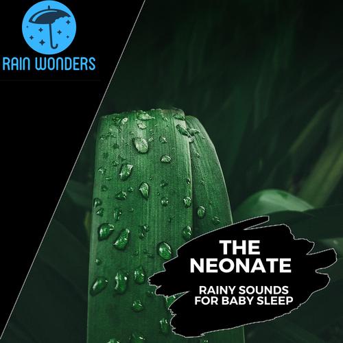 The Neonate - Rainy Sounds for Baby Sleep