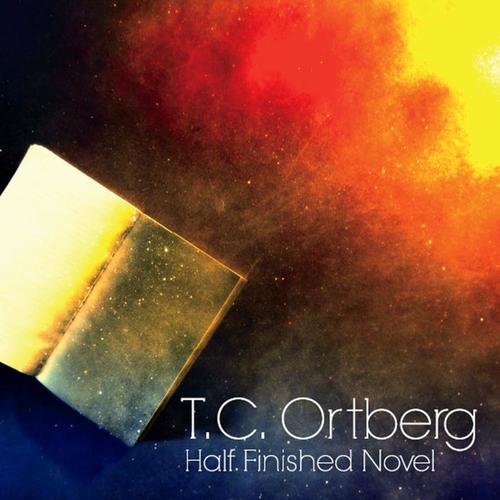 Half Finished Novel