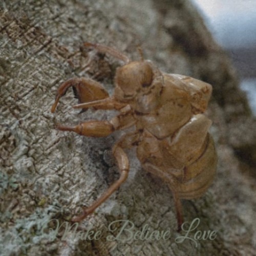 Make Believe Love