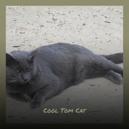 Cool Tom Cat