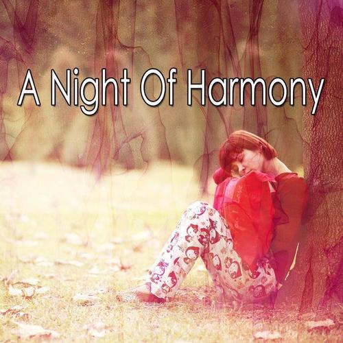 A Night Of Harmony