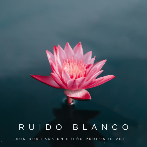 Ruido Blanco: Sonidos Para Un Sueño Profundo Vol. 1