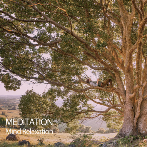 Meditation: Mind Relaxation