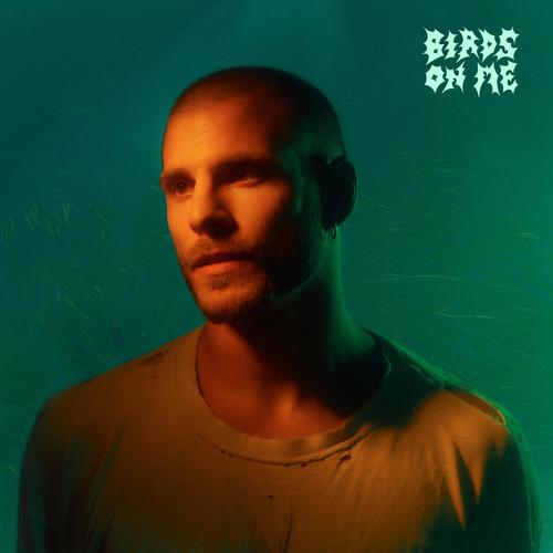 Birds On Me
