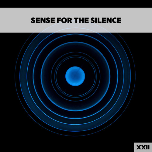 Sense For The Silence XXII