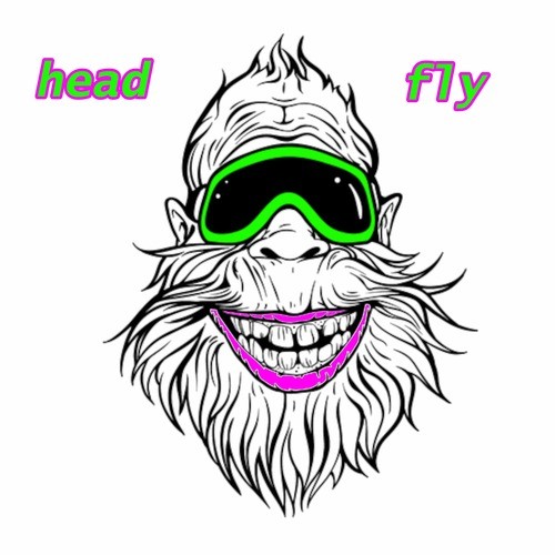 head fly