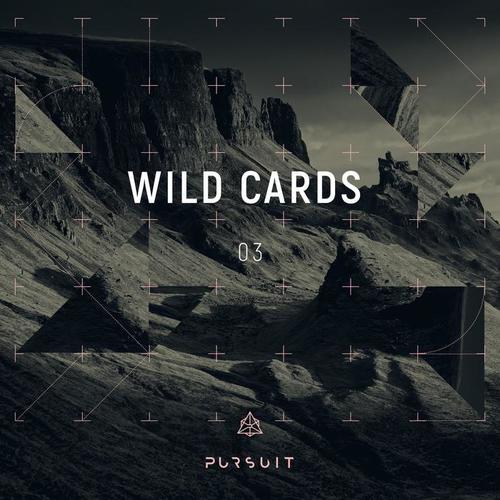 Wild Cards 03