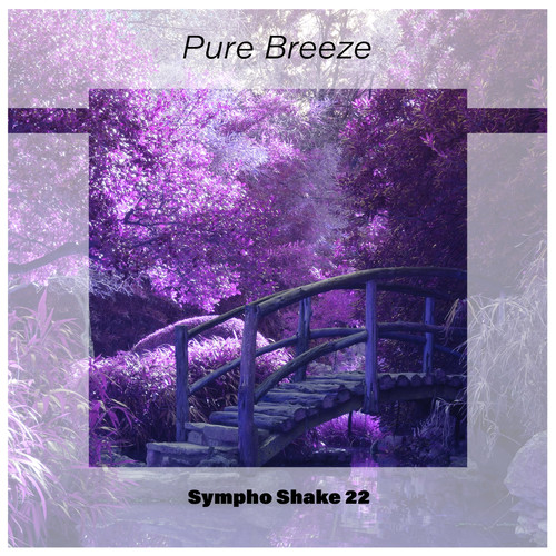 Pure Breeze Sympho Shake 22