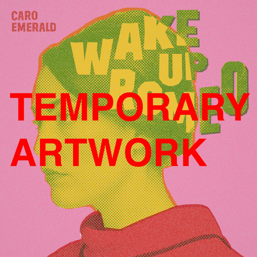 Wake Up Romeo (PiSk Remix)