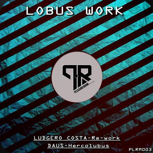 Lobus Work