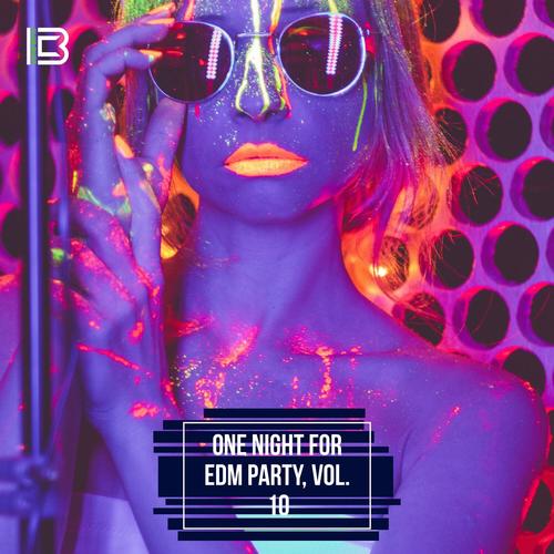 One Night for EDM Party, Vol. 10