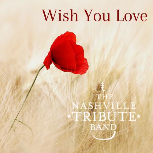 Wish You Love (feat. Jason Deere)