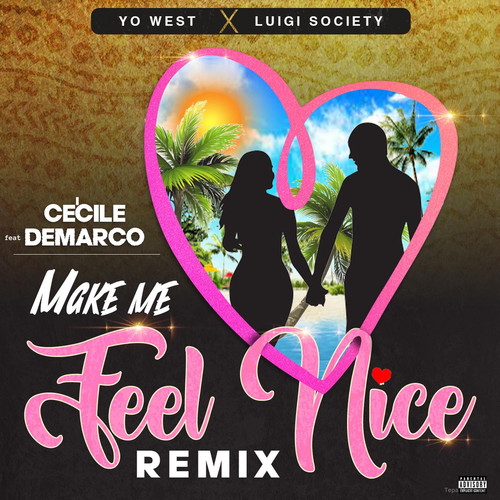 Make Me Feel Nice (Remix) [Explicit]