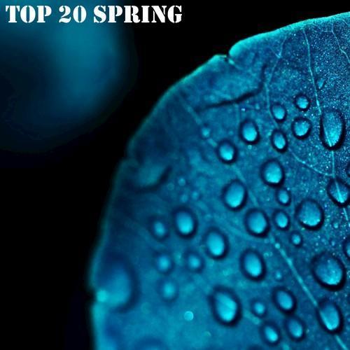 Top 20 Spring