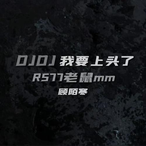 DJDJ我要上头了 (RS77老鼠mm)