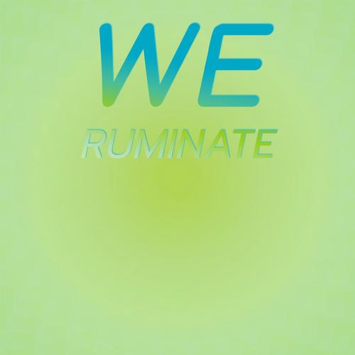 We Ruminate