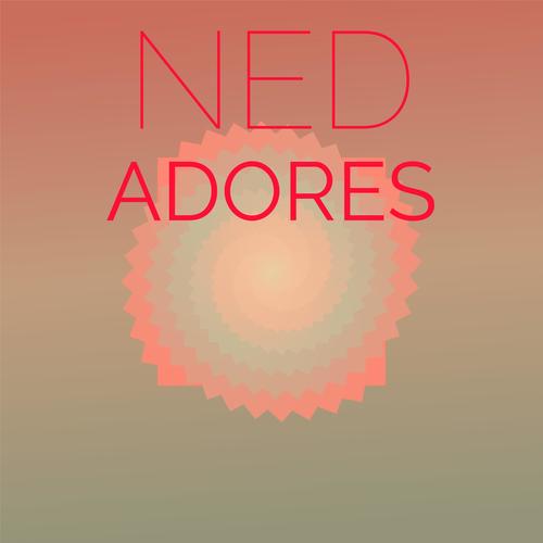 Ned Adores