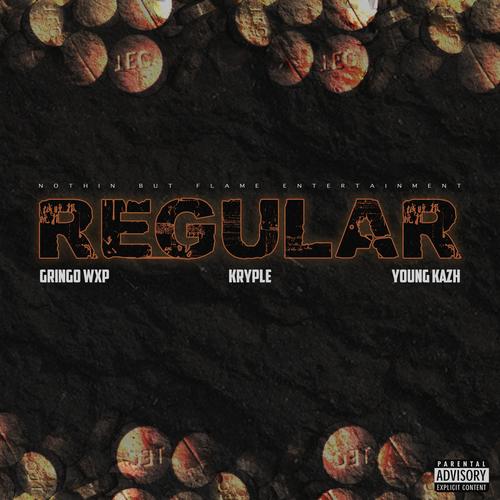 Regular (feat. Young Kazh & Kryple) [Explicit]