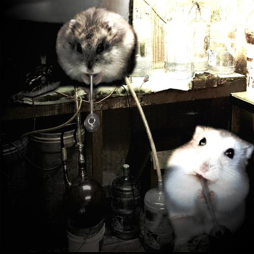 Spiffy & The Need For Speed Underground (Explicit)